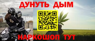 прущие грибы Дубна
