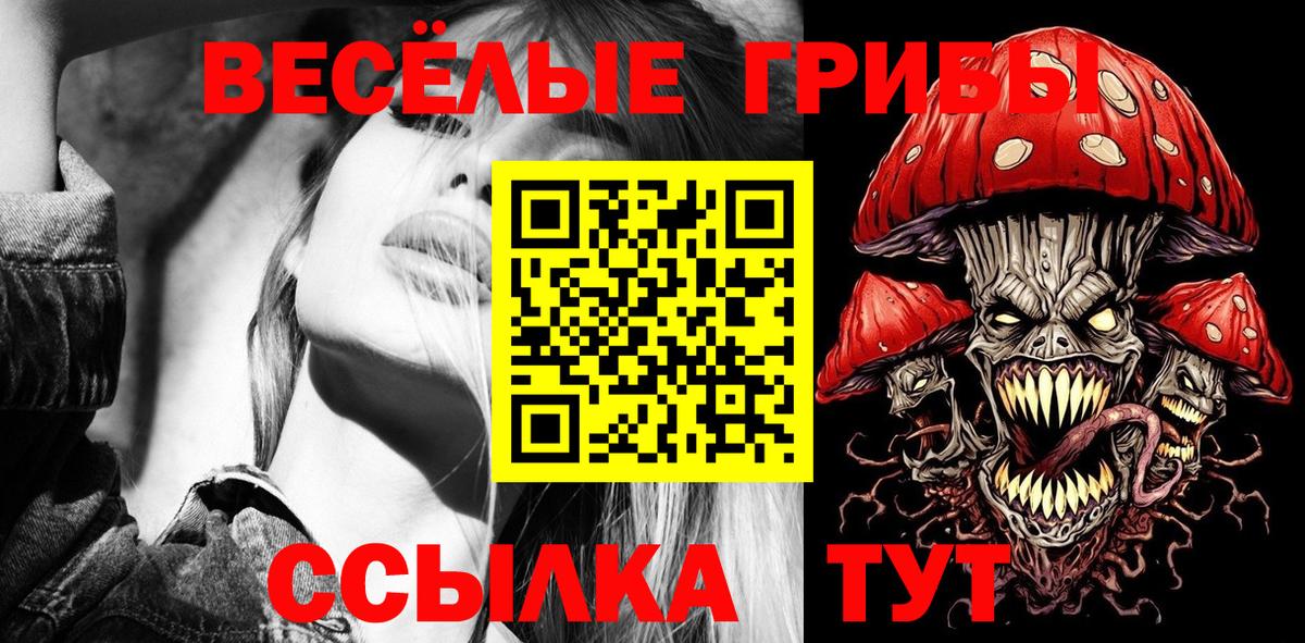 Галлюциногенные грибы Cubensis Георгиевск