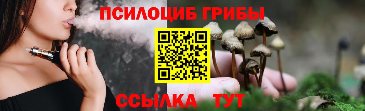 Георгиевск  Галлюциногенные грибы прущие грибы  Вход с VPN  Псилоцибиновые грибы MAGIC MUSHROOMS 